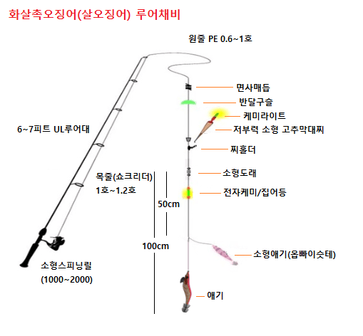 화살촉오징(살오징어)_루어채비
